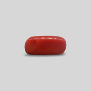 Natural Coral (Moonga) 9.56cts (36/442)